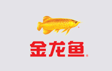  金龍魚